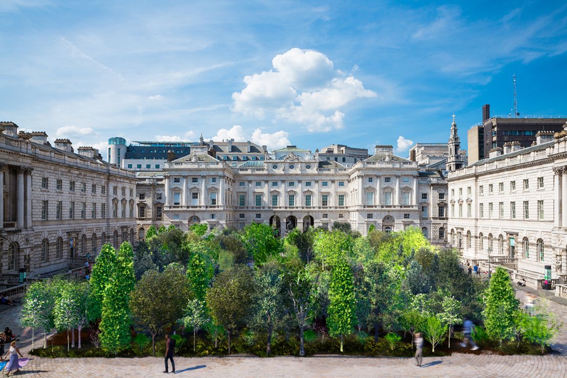 A render of the installation "Forest for Change" at Somerset House