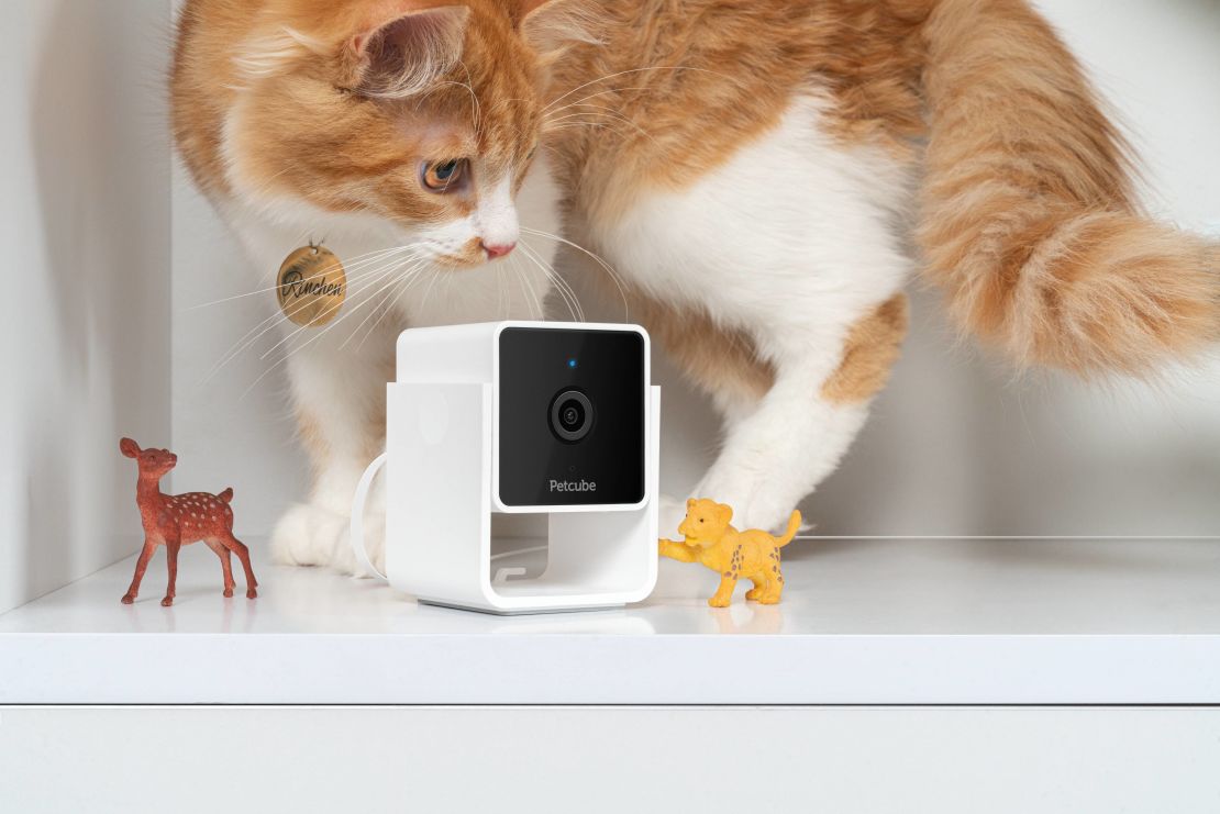 Petcube Pet Monitoring Camera 