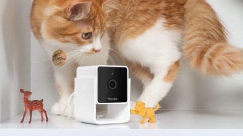 Petcube Pet Monitoring Camera
