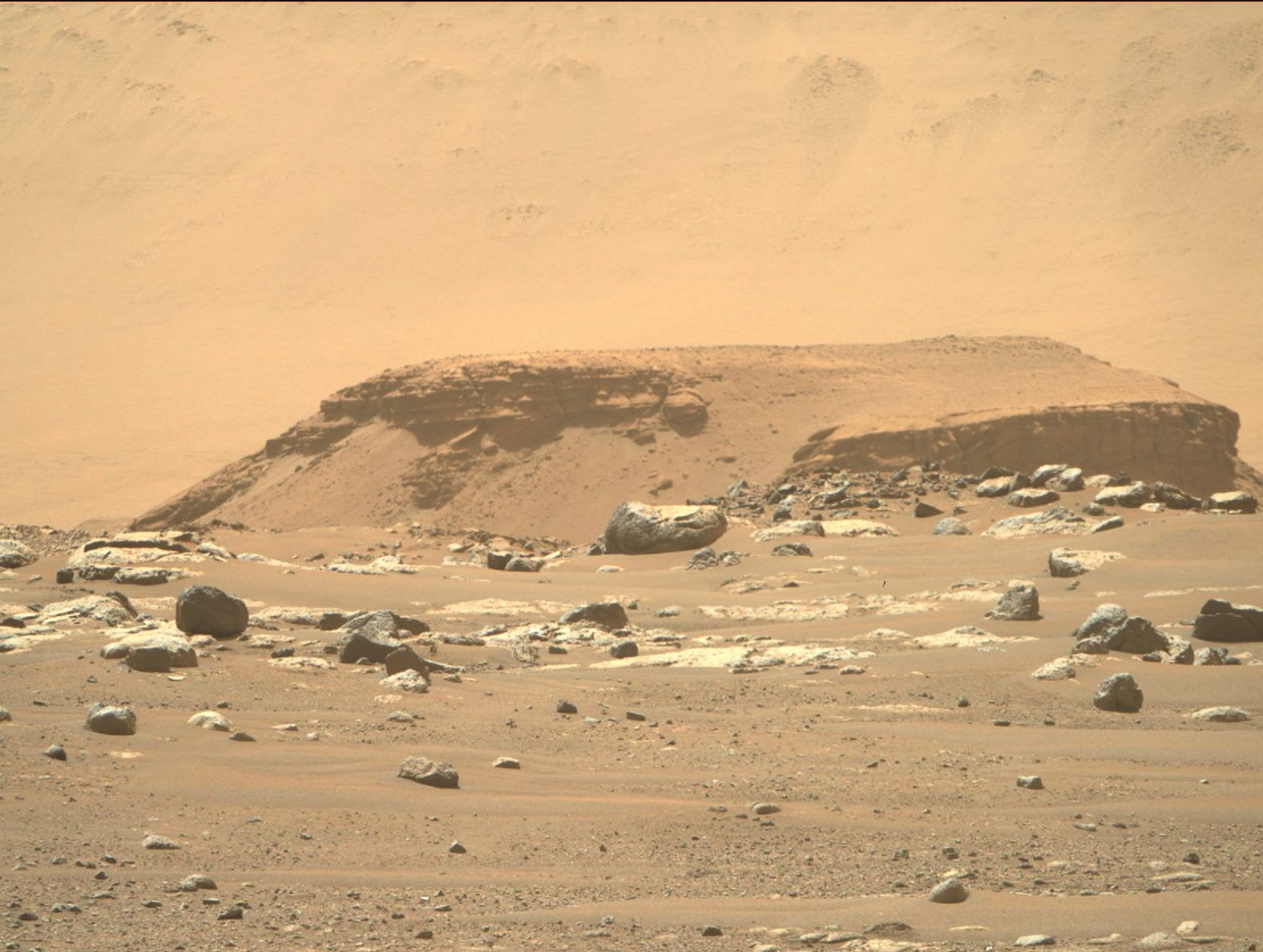 From its landing site, the rover could see a remnant of a fan-shaped deposit of sediments known as a delta (the raised area of dark brown rock in the middle ground).