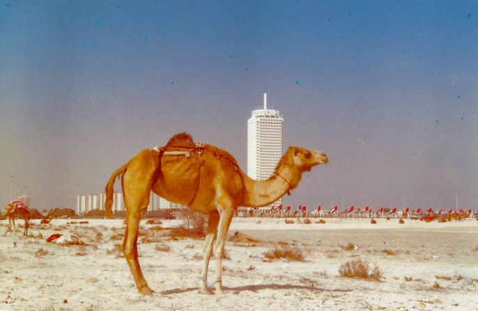 <strong>World Trade Center: </strong>Visible behind the camel, Dubai's first skyscraper was the World Trade Center which, when it was built in 1979, was the tallest building in the Middle East. 
