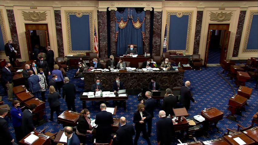 Senate passes Covid-19 relief bill vpx