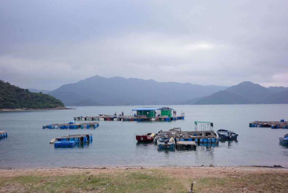 <strong>Next wave:</strong> Aquaculture farms are giving Kat O an economic boost.