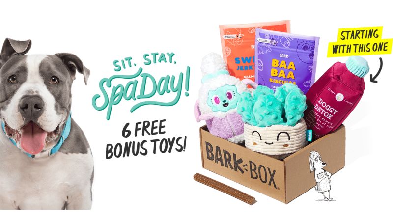 dog toy subscription box