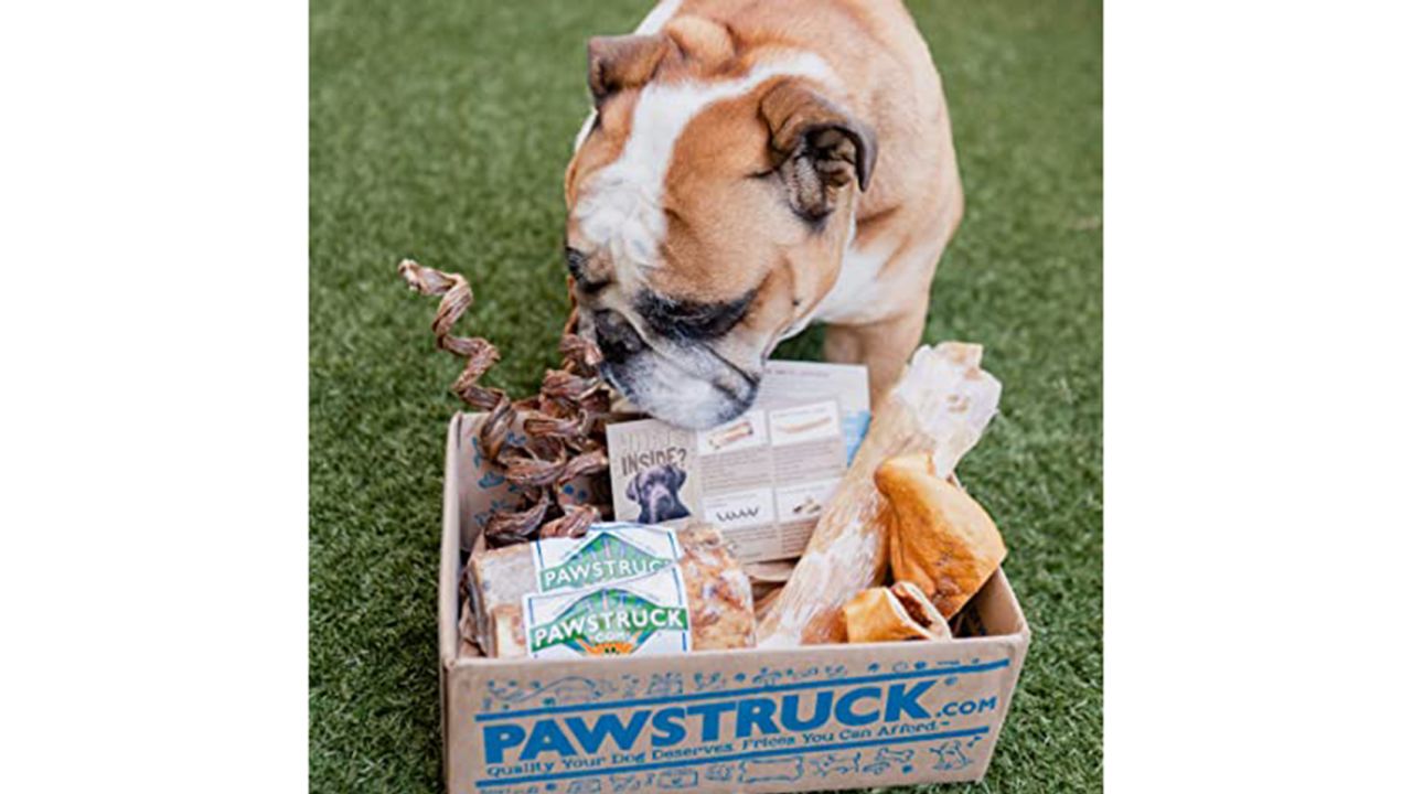 Pawstruck Chew Box
