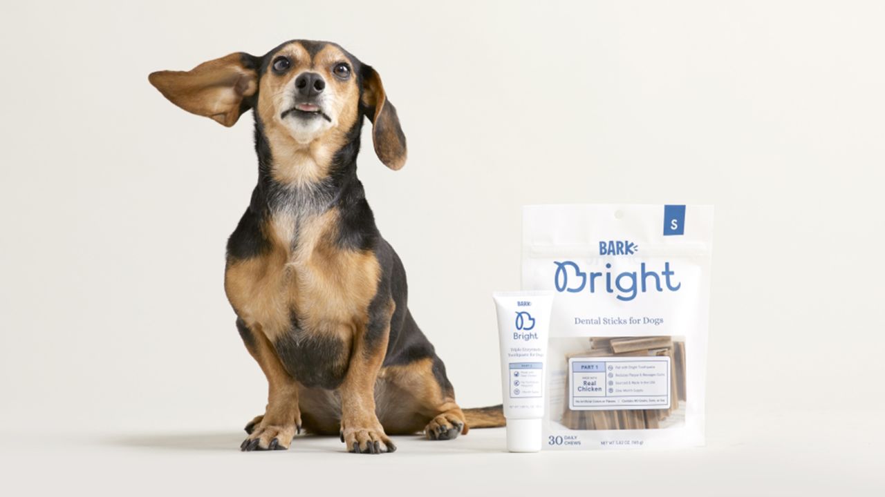 Bark Bright