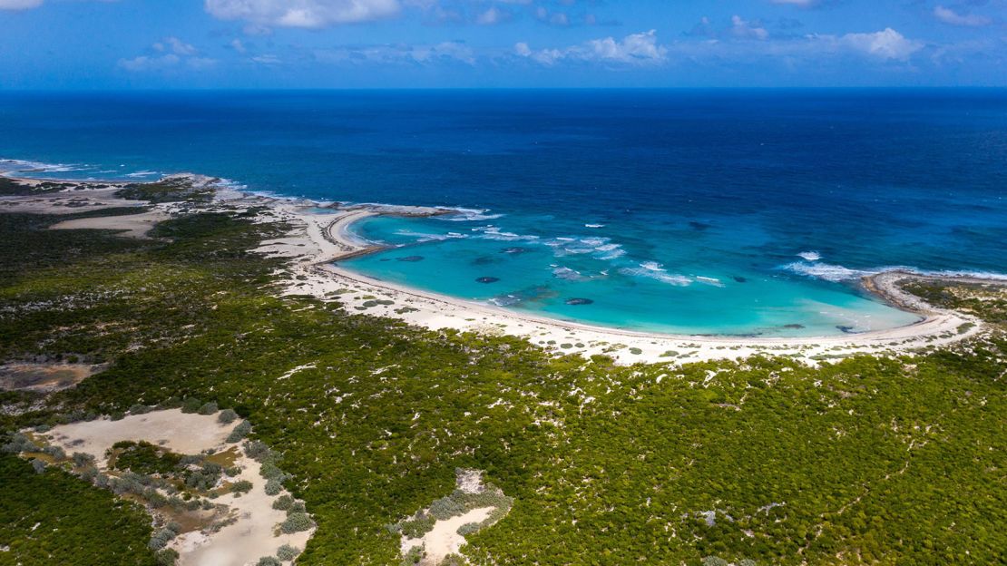 It's the Bahamas, baby.