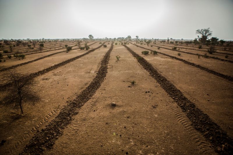 The Great Green Wall A 5 000 Mile Living Barrier To Hold Back The   210311123935 Restricted 02 Great Green Wall Senegal 2019 