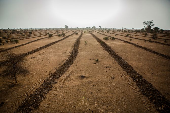 A variety of conservation techniques will be implemented, from reforestation to water management. The goal is to create a 9-mile-wide and 5,000-mile-long mosaic of trees, vegetation, grasslands and plants. 