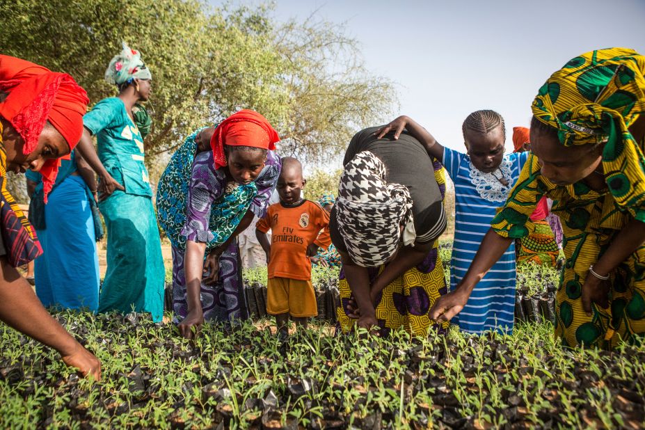 Restoring the land and increasing fertility will create economic opportunities for local communities. Here in Senegal, members of the Women's Association of Koyly pull weeds from seedlings as part of their work.