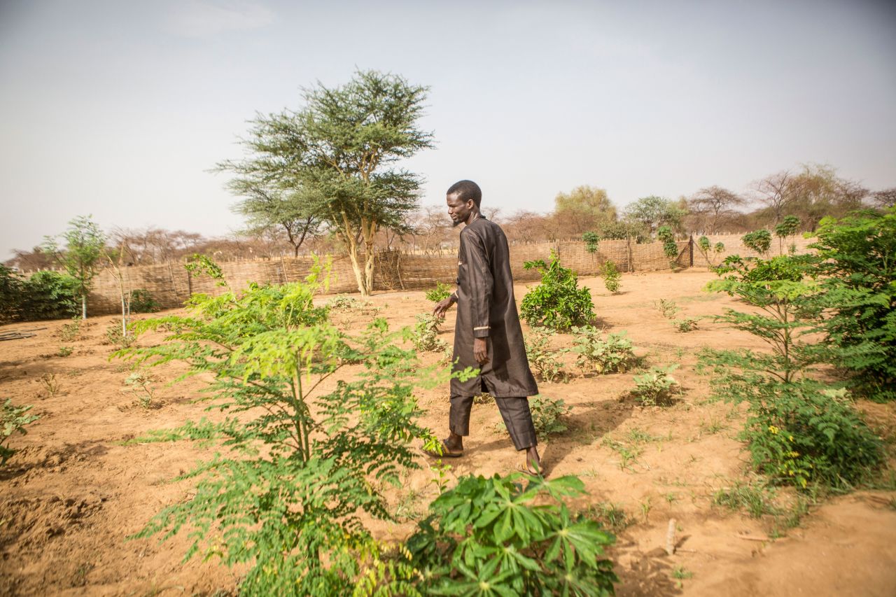 Ibarhima Diawara, 36, director of the Elementary School of Mbar Toubab, walks through the school's garden, which has been grown to educate students about the importance of the environment and vegetation in the Sahel. Once they harvest the fruits and vegetables, the goods are sold at the market, which also teaches the children about math and commerce.