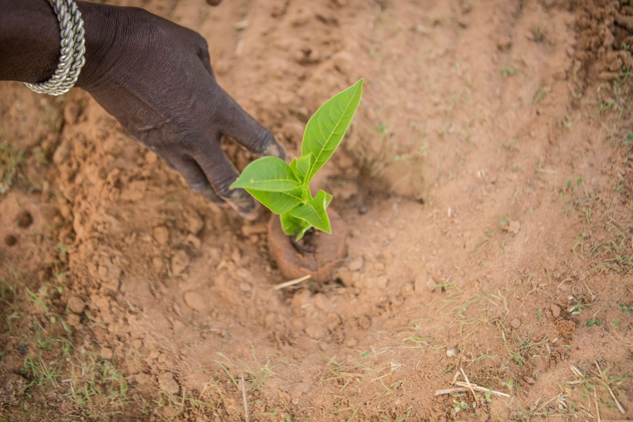 Nine years away from its deadline, the Great Green Wall still has a long way to go. So far, <a href="https://catalogue.unccd.int/1551_GGW_Report_ENG_Final_040920.pdf" target="_blank" target="_blank">4 million hectares</a> of land has been restored, though this rises to almost 20 million hectares when counting areas outside of the official Great Green Wall zones.