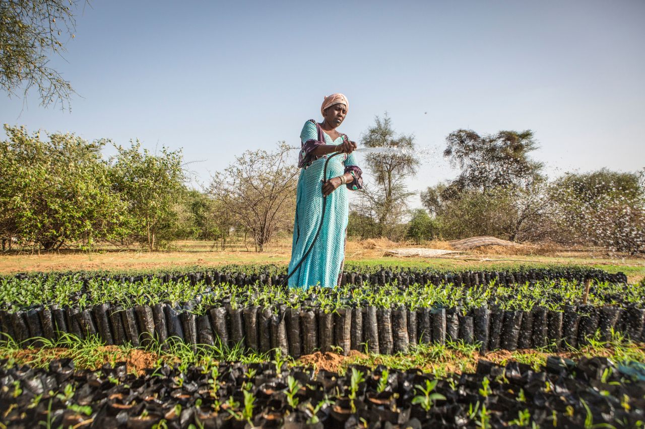 Recent funding of more than <a href="https://www.unccd.int/news-events/great-green-wall-receives-over-14-billion-regreen-sahel-france-world-bank-listed-0" target="_blank" target="_blank">$14 billion</a> from France, the World Bank and other donors is expected to accelerate the project -- contributing nearly half of the $33 billion the UN estimates is needed to achieve the 2030 goal.