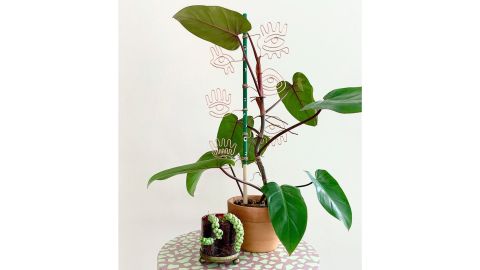 TheSnarkier High Stakes Eyes Trellis