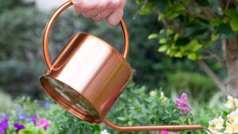 Homarden Copper-Colored Watering Can