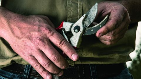 Felco F-2 Classic Manual Hand Pruner