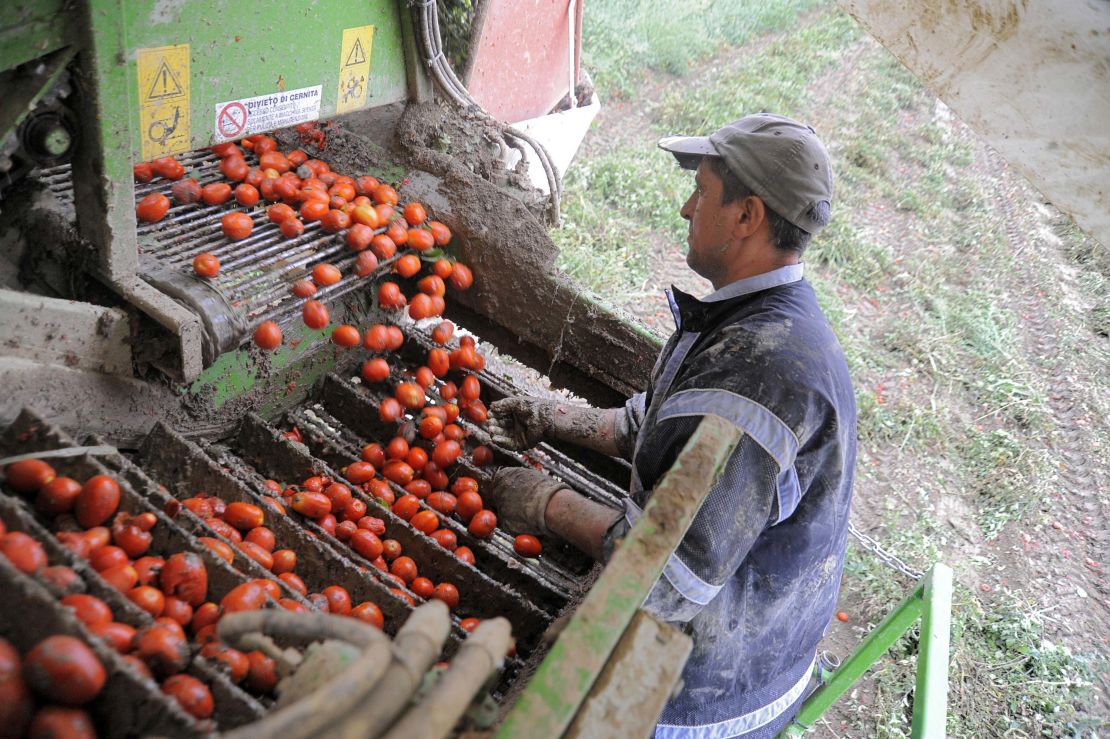 The Po Valley (including Piacenza, pictured) is now the center of Italy's tomato industry.