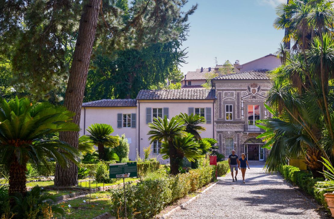 The tomato turned up in Italy in Cosimo I de' Medici's botanical garden, still open to the public.