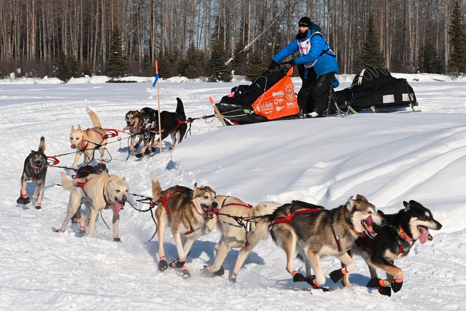 Four-time Iditarod champion Dallas Seavey rounds a corner on the Susitna River.