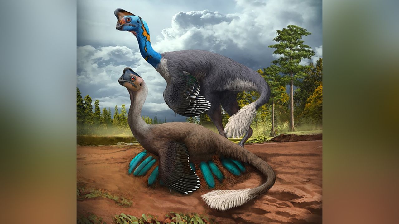 An attentive oviraptorid theropod dinosaur broods its nest of blue-green eggs while its mate looks on in what is now Jiangxi Province of southern China some 70 million years ago. Artwork by Zhao Chuang.