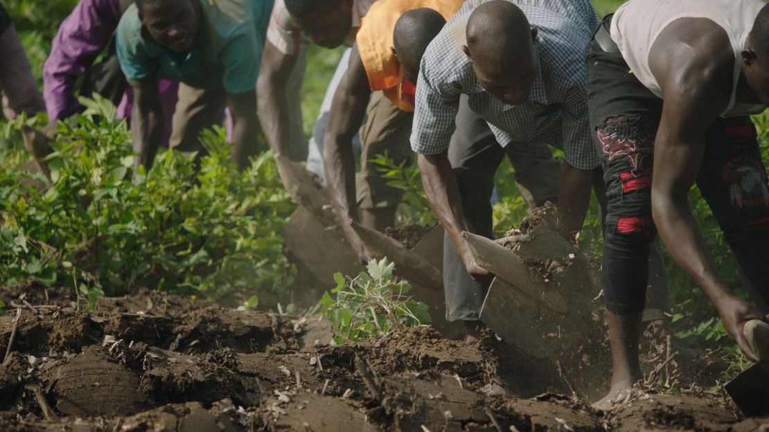 As well as restoring land, the initiative hopes to provide employment and food security to local communities.