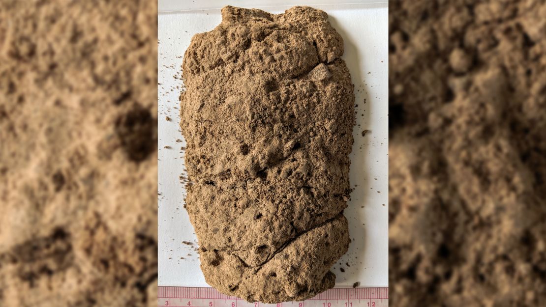 The dirt contained perfectly preserved fossilized plants dated to within the last 1 million years.