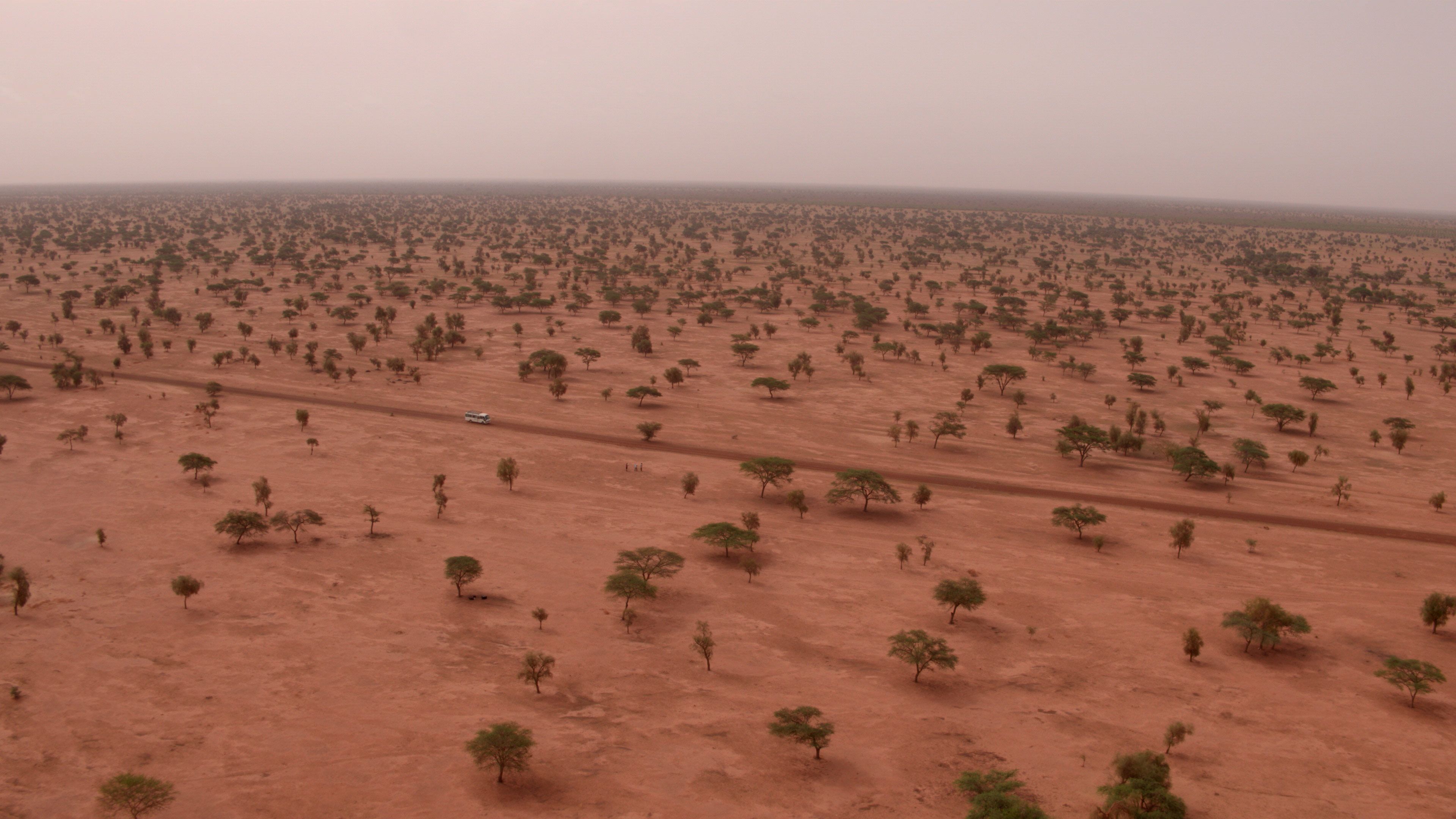 The Great Green Wall: A 5,000-mile living barrier to hold back the world's  largest desert | CNN