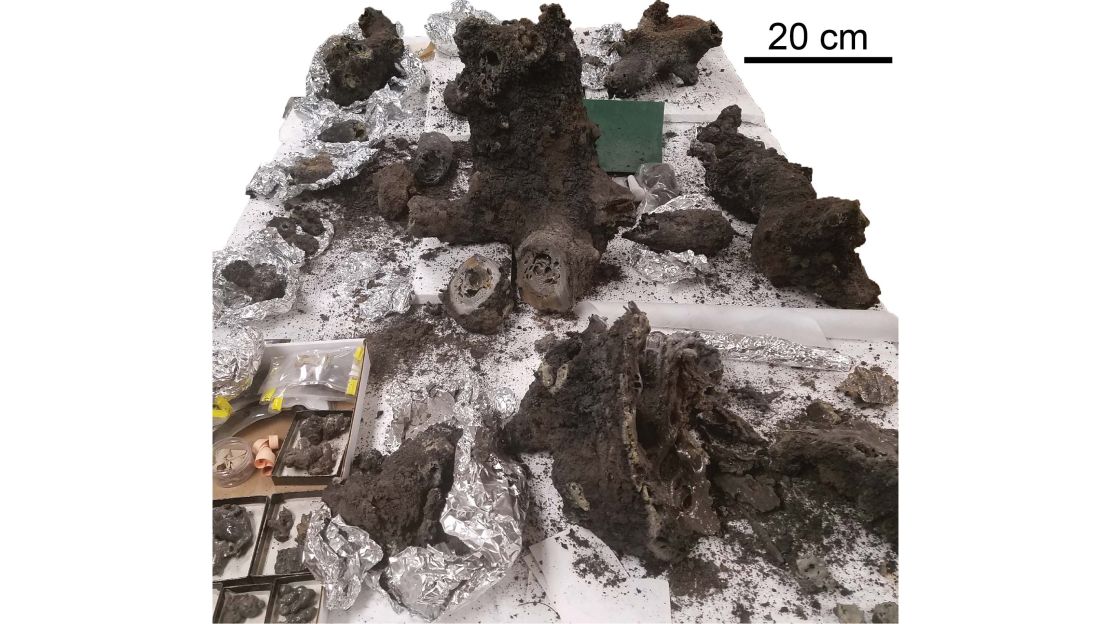 These are pieces of fulgurite analyzed in the study.