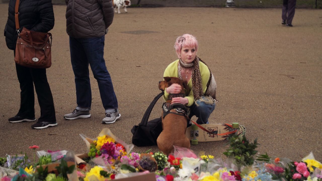 Jessica Venn says she often borrows her flatmate's dog to ward off harassment on the street.