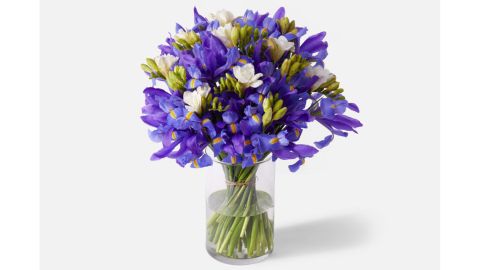 Double the Purple Iris