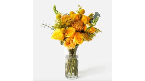 The Mimosa