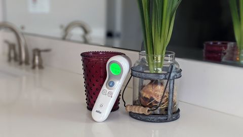 Braun, Aerogarden and Wayfair: The very best on-line gross sales of the second 83 h 270,w 480