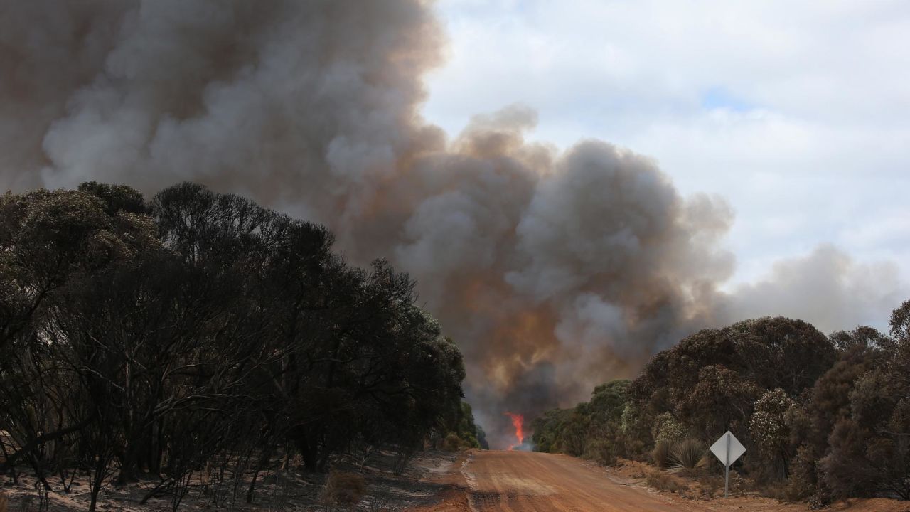 A plume of bushfire smoke in Karatta, Australia, on January 11, 2020 in Karatta, Australia.