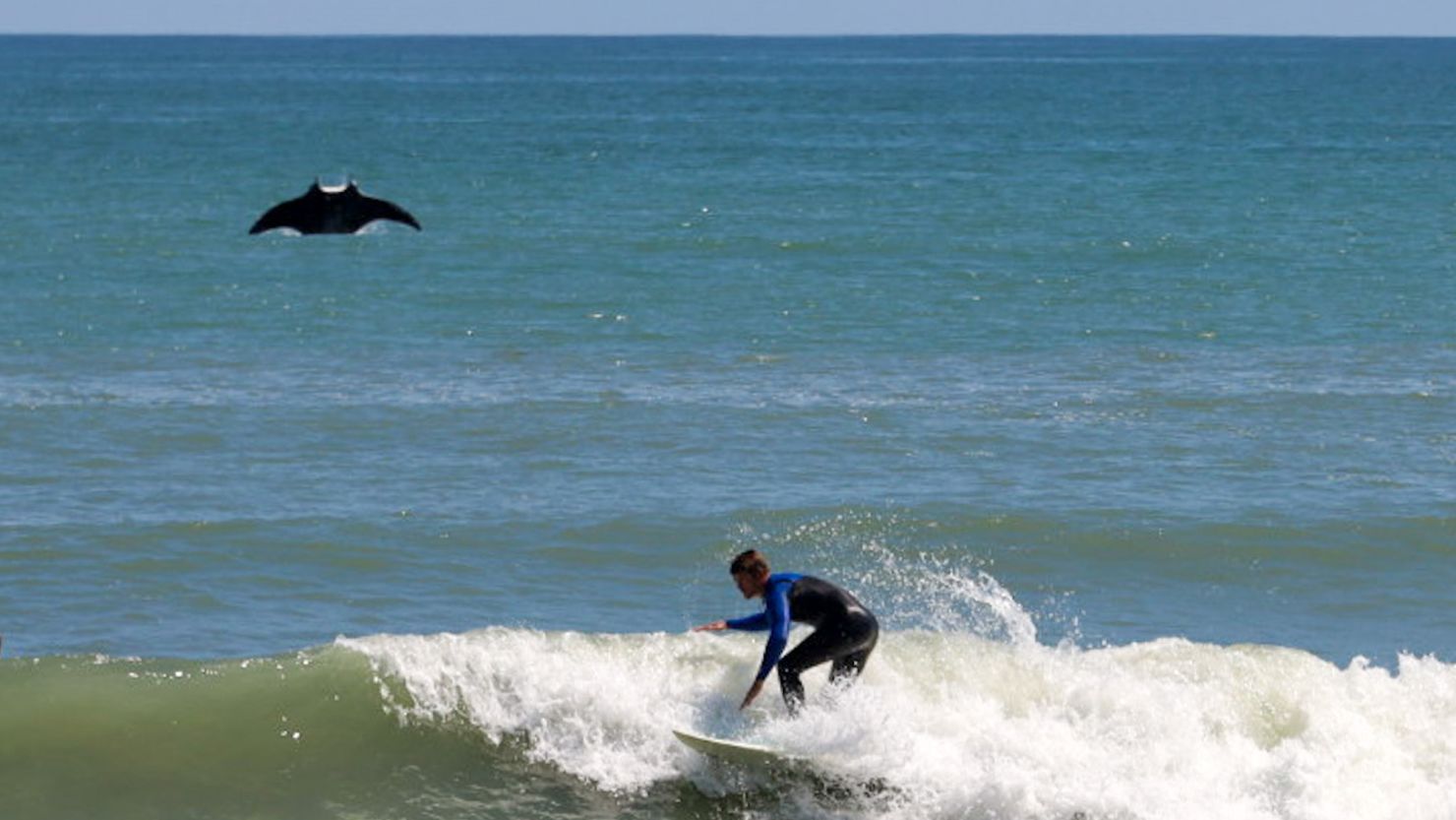 Rusty Escandell says he noticed a little splash while taking pictures of surfers in Satellite Beach, Florida, but he didn't know that a huge manta ray had jumped out of the water until he looked at the photos at home.