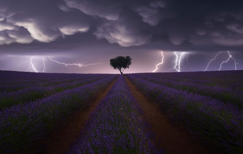 Spanish photographer Juan López Ruiz's photo shows lightning over a lavender field in Guadalajara, Spain. He won the landscape category.