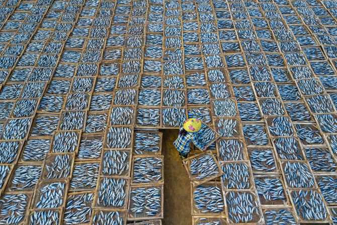 Vietnamese photographer Khanh Phan shot this image of a woman sat among trays of drying fish at Long Hai fish market in Ba Ria -Vung Tau, Vietnam, winning the travel category.