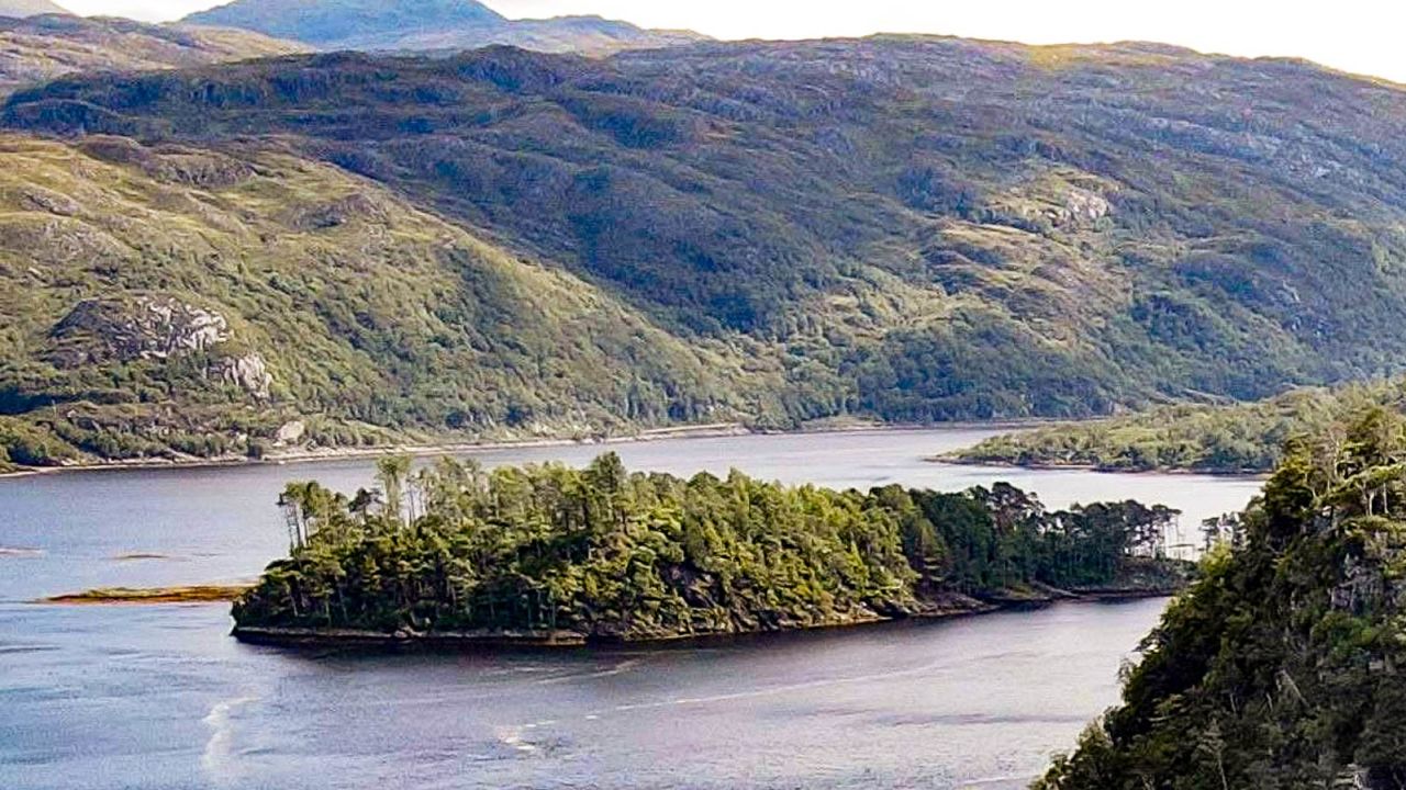 Dreaming of more space? You can buy a slice of the Scottish Highlands at auction, with bids starting at the price of a London garage.
