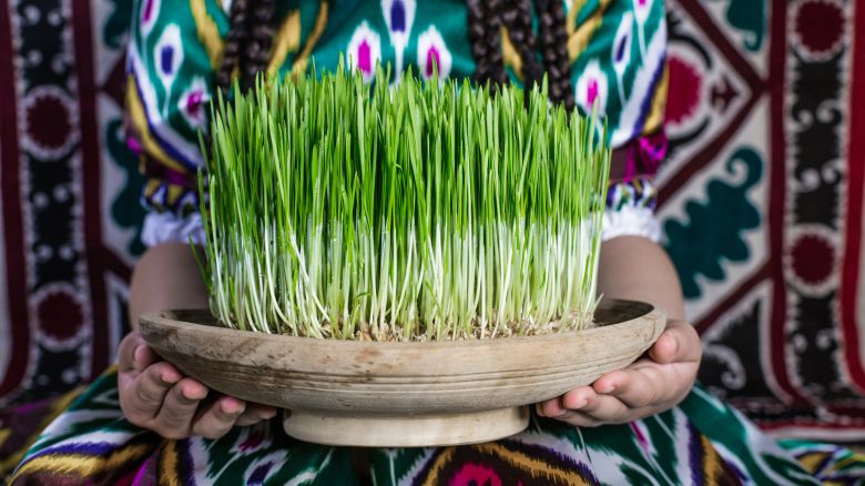 One of the items people place on their Haft-seen, or altar, is wheatgrass. 