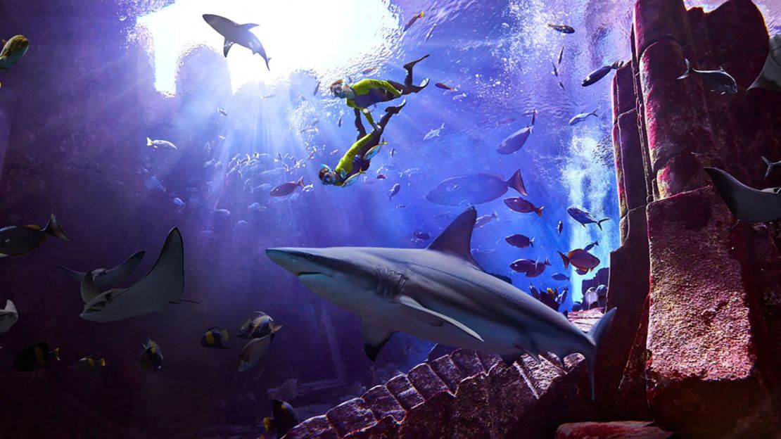 Atlantis Dubai also offers the opportunity to snorkel alongside sharks. 