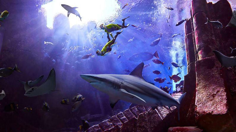 <strong>Sleep (or eat) with the fishes at Atlantis, The Palm:</strong><strong> </strong>Out on the artificial archipelago the Palm Jumeirah an is iconic hotel and resort Atlantis, The Palm. The hotel's <a href="index.php?page=&url=https%3A%2F%2Fwww.atlantis.com%2Fdubai%2Frooms-and-suites%2Fsignature-suites%2Funderwater-suite" target="_blank" target="_blank">Underwater Suite</a> has floor to ceiling windows into its giant aquarium. Evening diners can visit <a href="index.php?page=&url=https%3A%2F%2Fwww.atlantis.com%2Fdubai%2Frestaurants%2Fossiano" target="_blank" target="_blank">Ossiano</a>, the hotel's restaurant with underwater views (would it be insensitive to order the fish?). If you'd just like a tour, it's open between 10:00-21:00 (<a href="index.php?page=&url=https%3A%2F%2Fwww.atlantis.com%2Fdubai%2Fatlantis-aquaventure%2Flost-chambers-aquarium" target="_blank" target="_blank">book tickets online</a>).