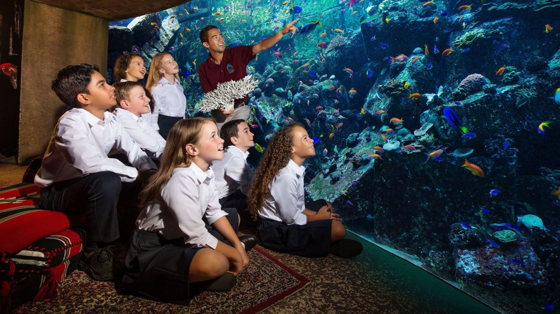 The aquarium is filled with 65,000 underwater residents.