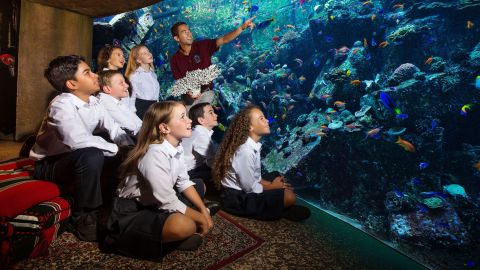 Images for 2021 story on Fish Hospital at Atlantis The Palm Dubai 