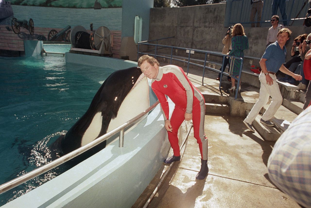 Shatner is kissed by a whale while visiting a wildlife park in Vallejo, California, in 1987. Shatner was promoting contributions to the California Rare and Endangered Species Preservation Program.