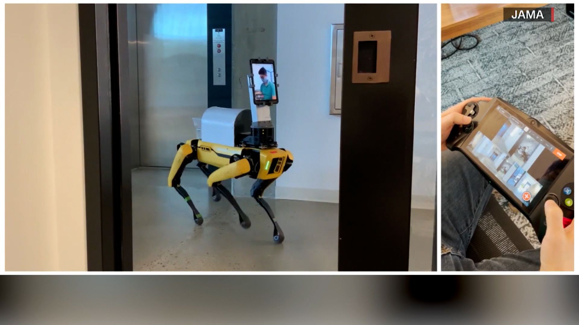 Robot Dogs Can Help Seniors Cope—Especially During Covid