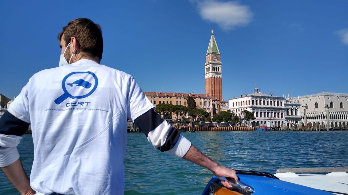 The CERT team looks for the dolphins in the Venice lagoon.