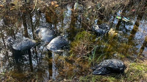 IN STORY dogs found in trash bags