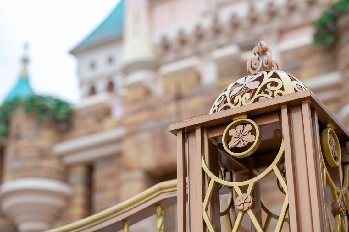 The bauhania flower detail appears throughout the castle's design.