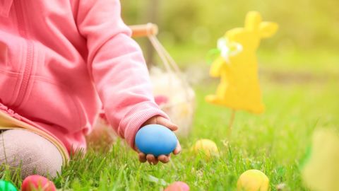 Is an Easter Egg hunt safe?