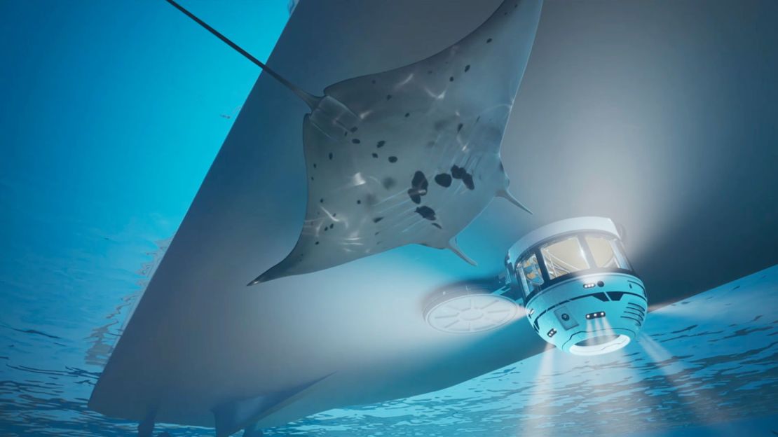 A rendering of Gresham Yacht Design's latest concept, which immersing yacht passengers underwater.