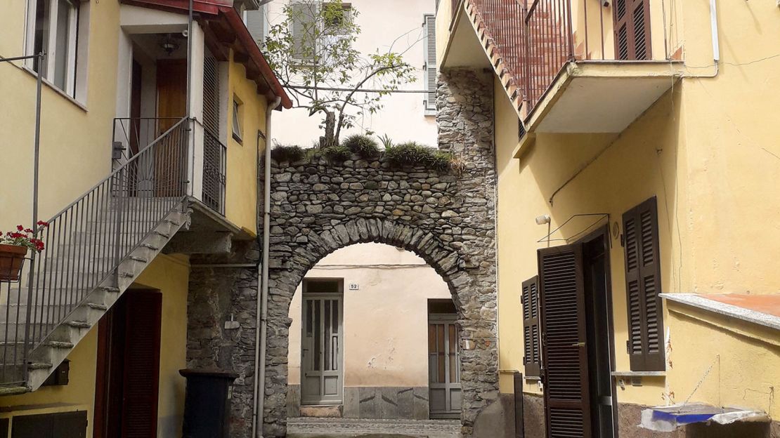 The Barretts partuclarly like the tree growing out of an arch.